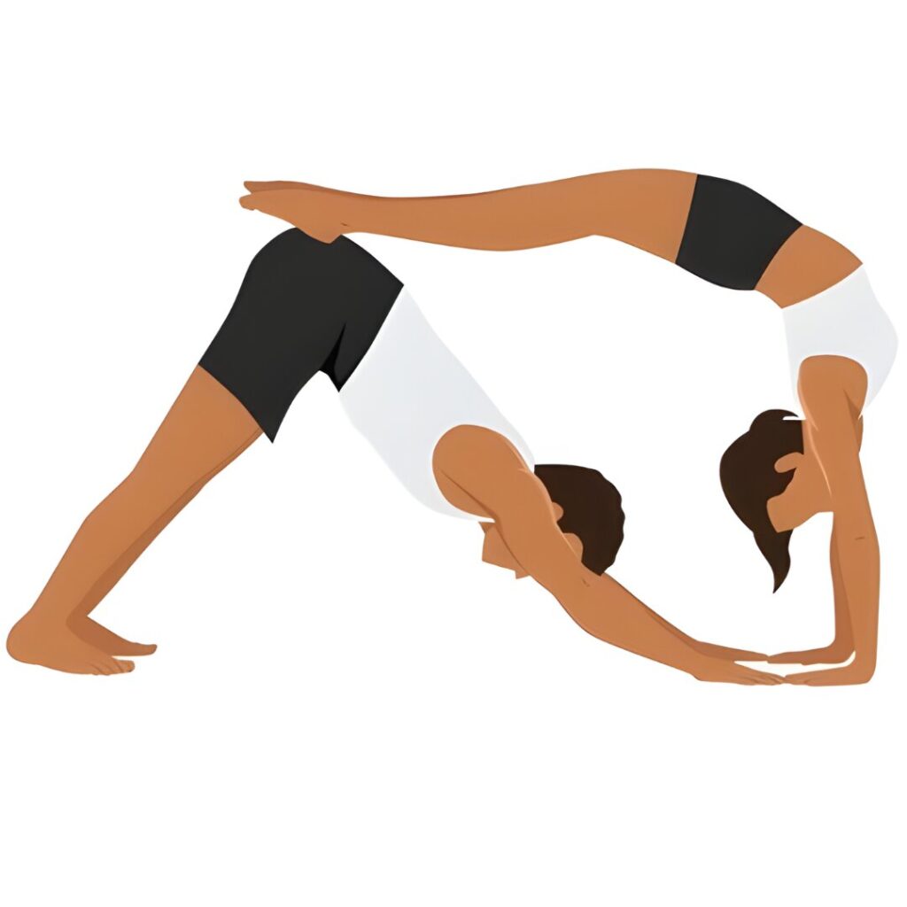 Partner-Downward-Dog