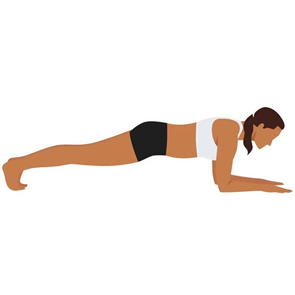 Plank Pose (Phalakasana)